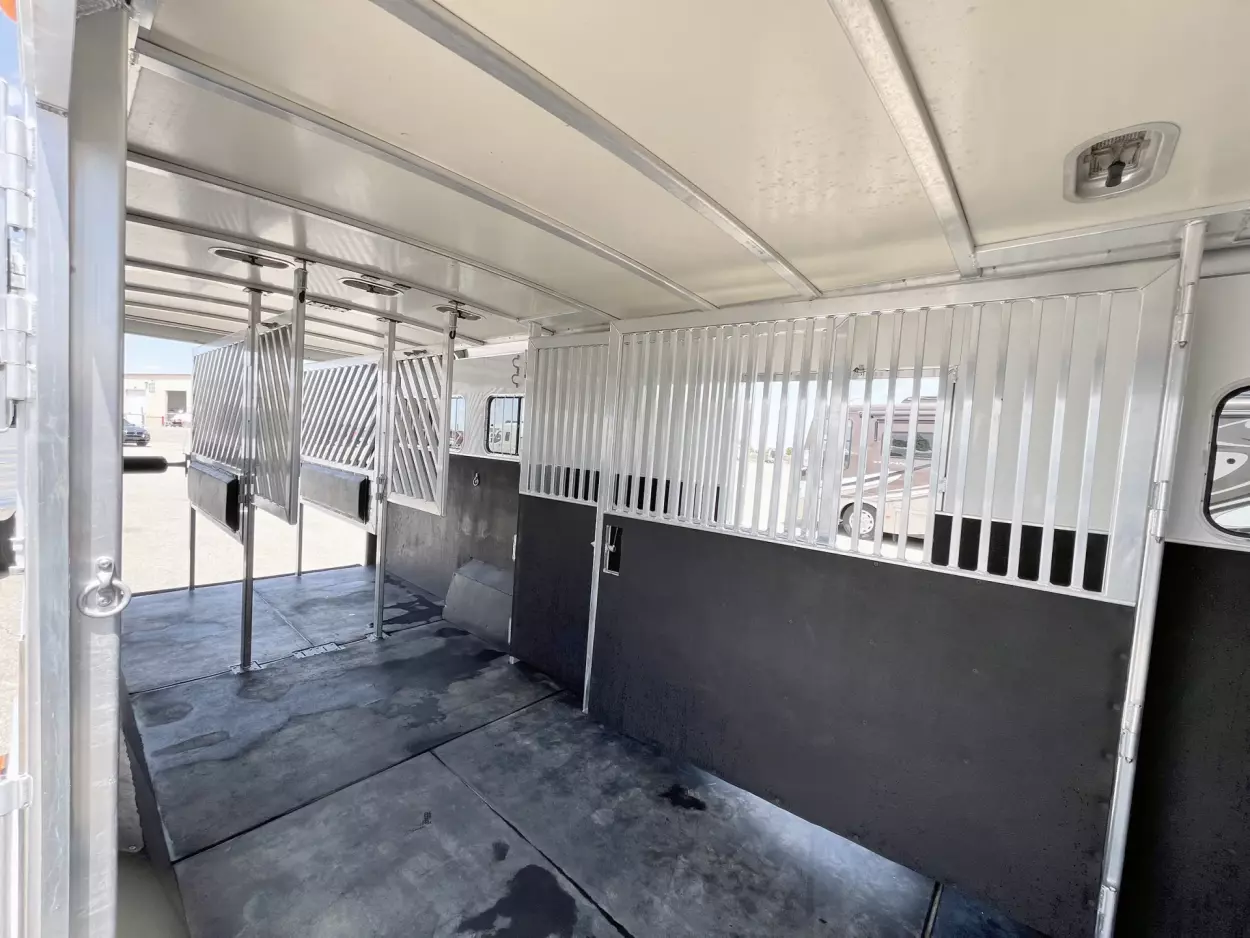 2009 Cimarron Norstar 6H Head to Head - Image 11