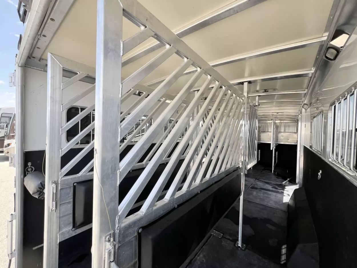 2009 Cimarron Norstar 6H Head to Head - Image 14