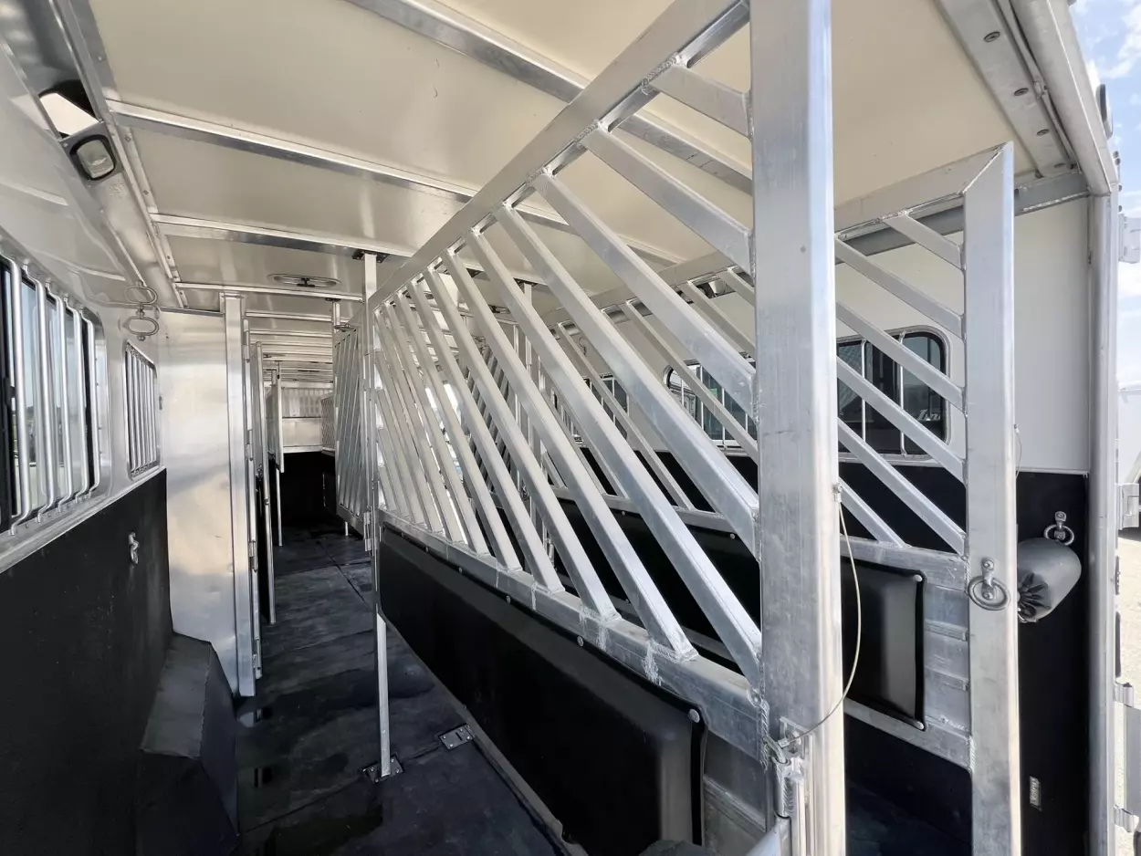 2009 Cimarron Norstar 6H Head to Head - Image 13